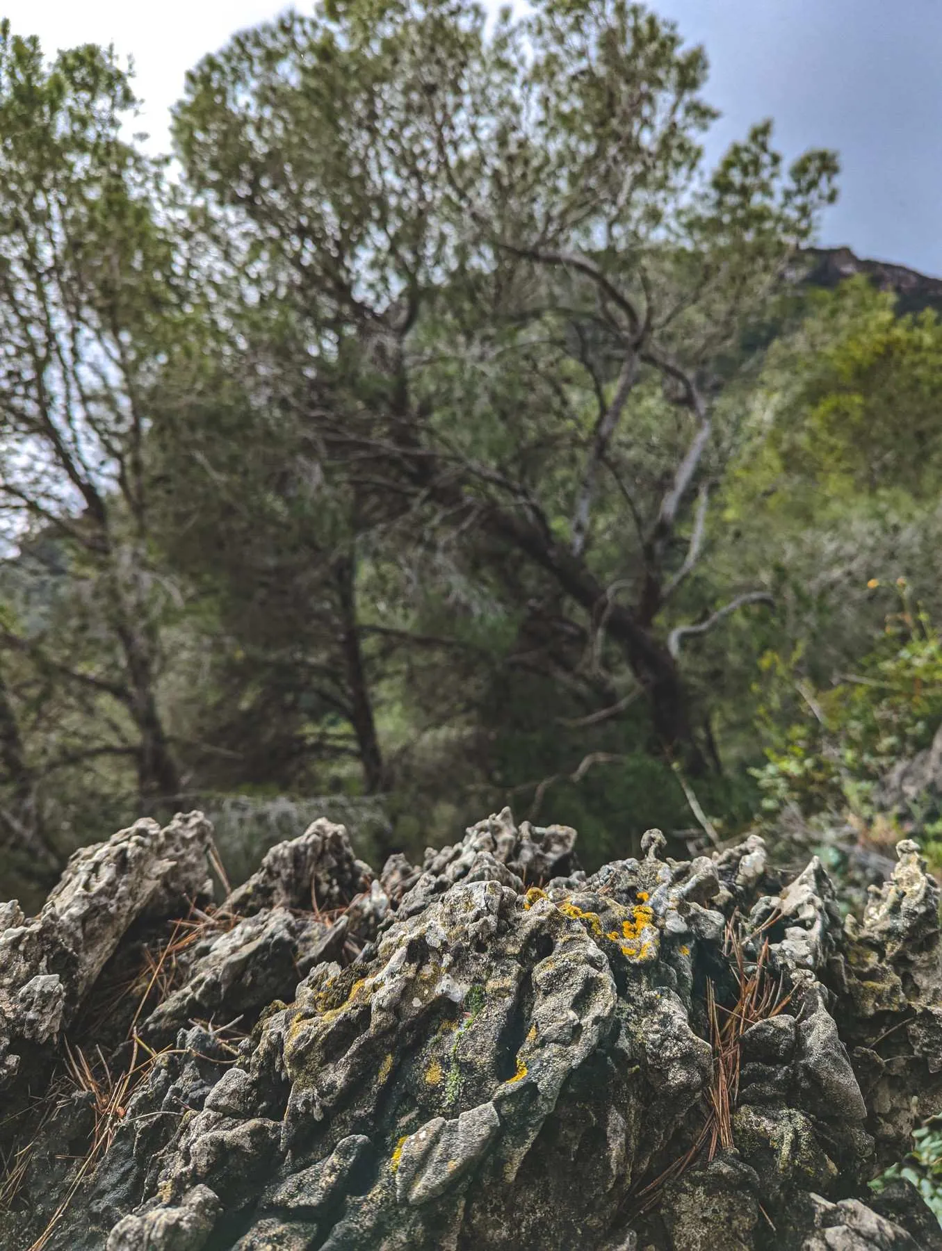 Local hiking Marxuquera